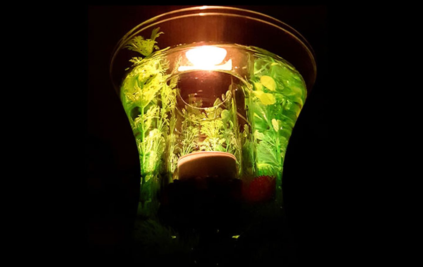 Blog Milchtropfen Unterwasserwundlicht Blog Milchtropfen Unterwasserwundlicht