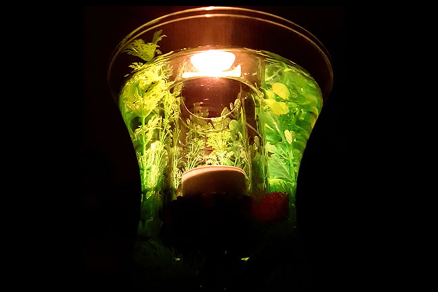 Blog Milchtropfen Unterwasserwundlicht