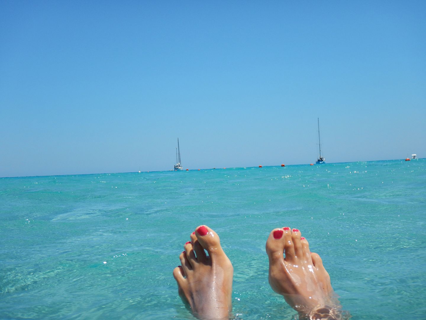 Blog Wellness Mama Blog Wellness Mama