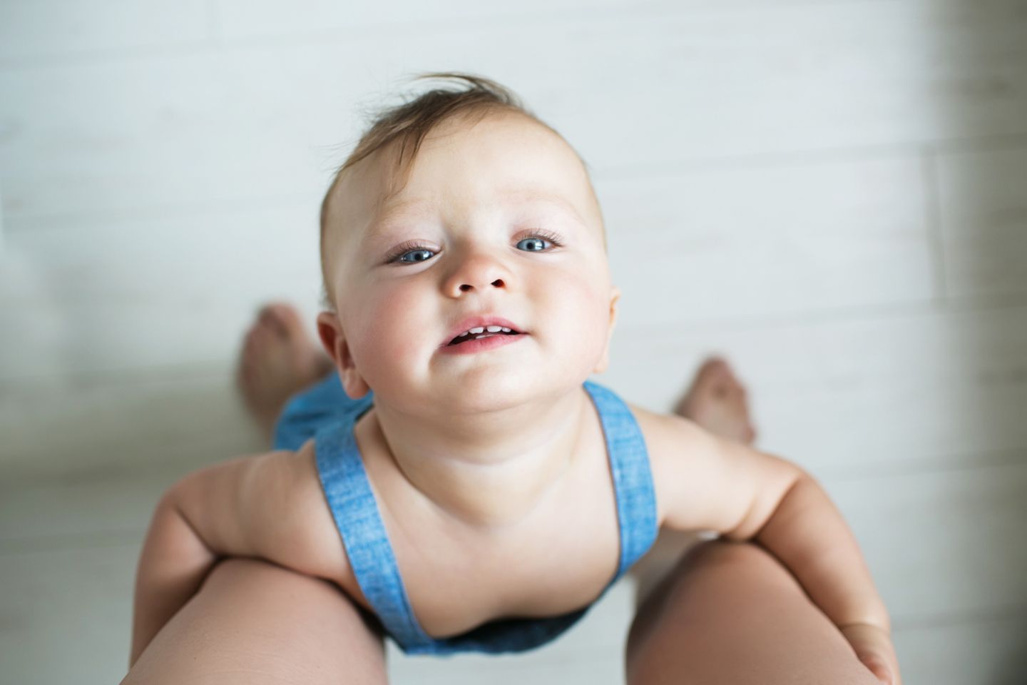 Blog Wellness Mama Translation Blog Wellness Mama Translation