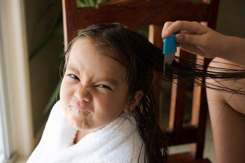 Kopfläuse: Kopfläuse bei Kindern: Erkennen und behandeln
