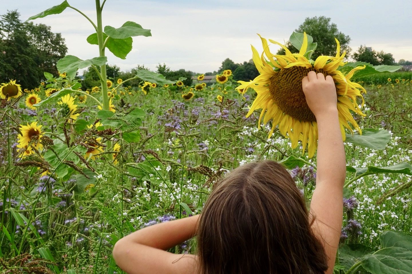 Mumslife - Hört auf mir zu sagen, mein Kind sei zu verspielt oder zu verträumt Mumslife - Hört auf mir zu sagen, mein Kind sei zu verspielt oder zu verträumt