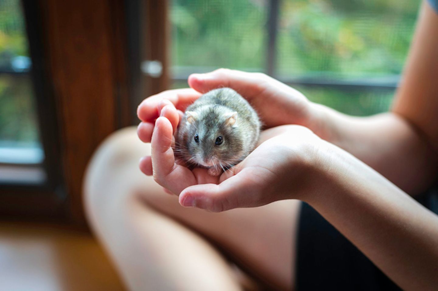 iStock, Randy Tarr Photography Blog Mama steht Kopf, Haustiere