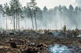 Waldbrand