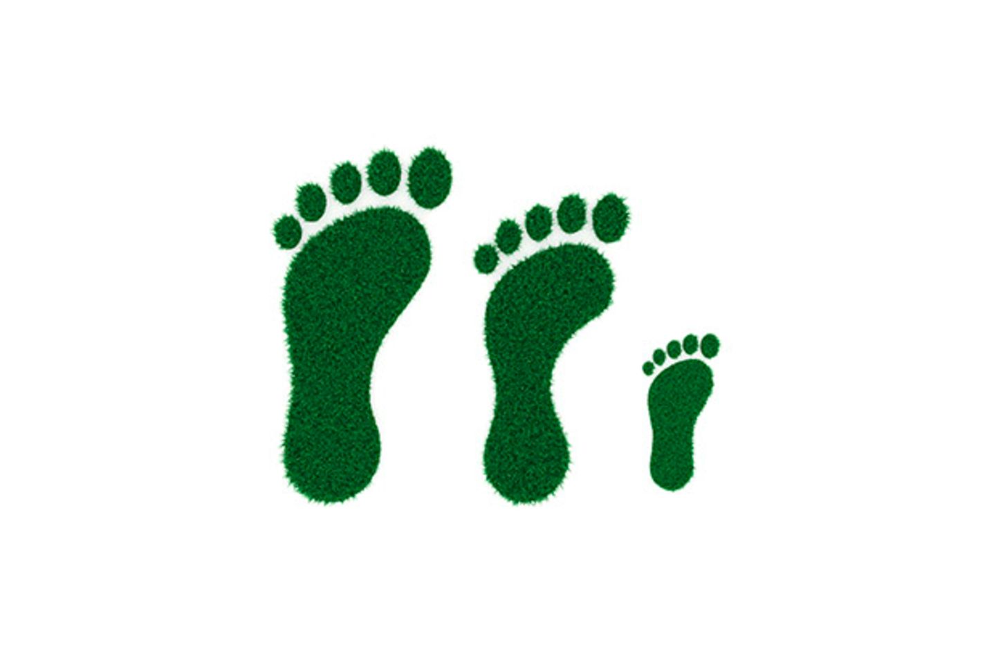 CO2-Footprint Fußabdruck