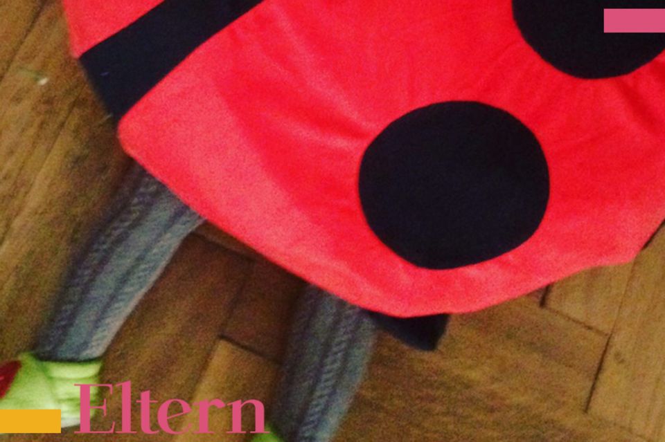 Blog SarahPlusDrei, Willen