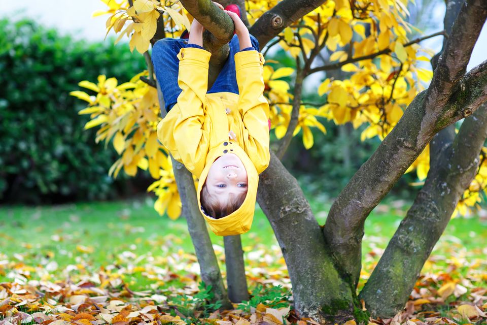 Junge kletter auf einem Baum