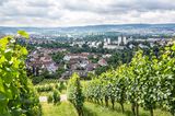 Auch wenn Stuttgart bekanntermaßen hohe Mietpreise hat, für Familien gibt es kaum günstigere Städte in diesem Ranking. Auch die Luftqualität kann in Stuttgart überzeugen. Schlecht sind hingegen das Gesundheitswesen, bei dem nur Berlin noch schlechter abschneidet und die Nachbarschaftssicherheit. In diesem Punkt fühlen sich nur Eltern in Dresden unsicherer.