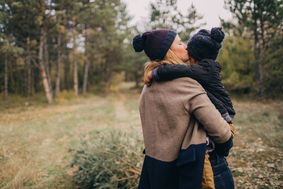 Erholung und Ruhe findet ihr im Wald Erholung und Ruhe findet ihr im Wald