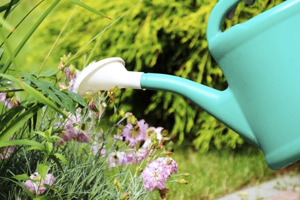 Schönes für den Garten