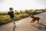 Kleiner Junge spielt mit Hund an der Leine