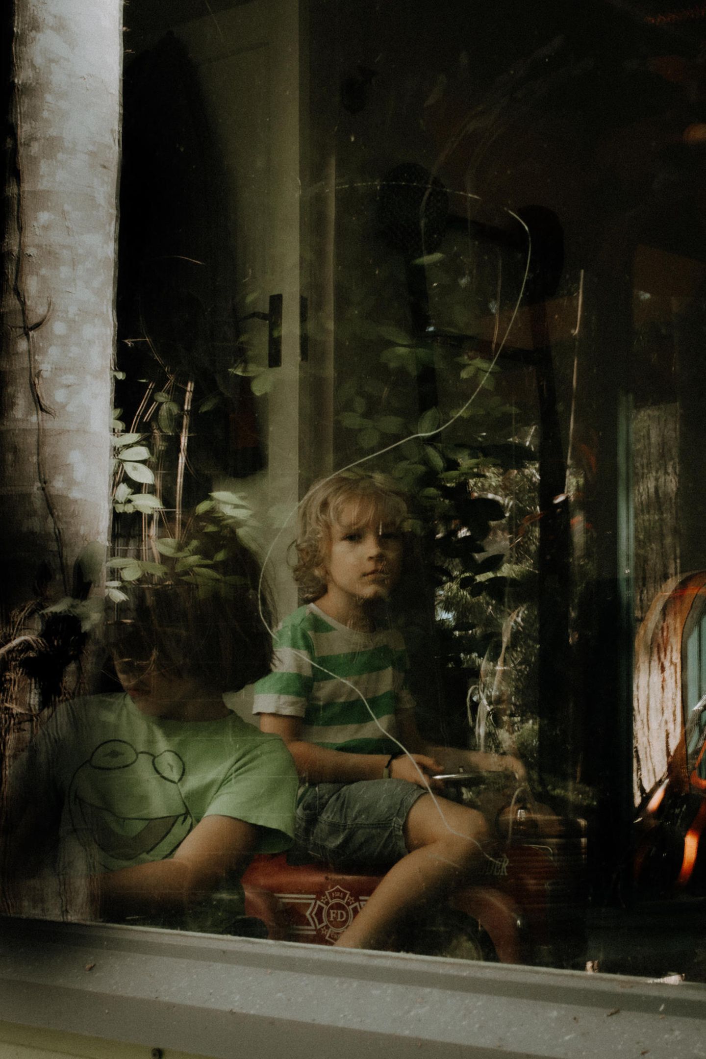 Oberon and Lenny in the Spare Room aus der Fotoreihe Behind Glass von Lisa Sorgini