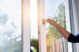 Fenster