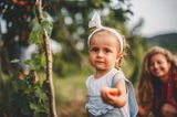 Kleines Mädchen hält Pfirsich bei der Ernte