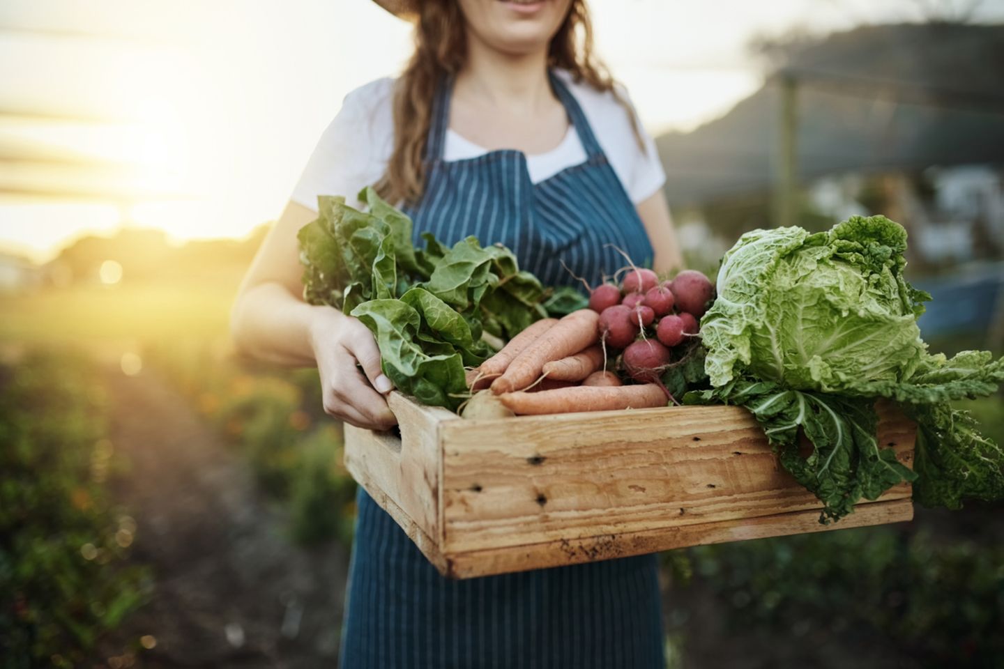 Frau trägt frisch geenrtetes Gemüse in einer Kiste