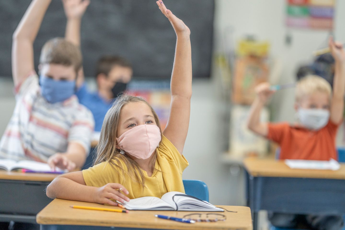 Blog Inselmudda, Schule Blog Inselmudda, Schule