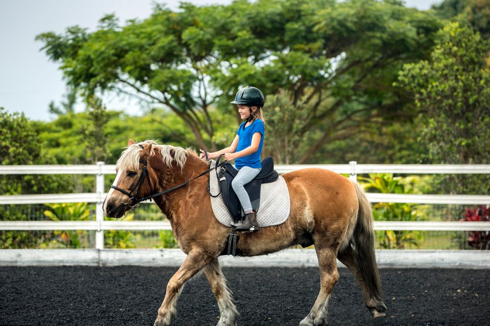 Maedchen reitet auf einem Pony Maedchen reitet auf einem Pony