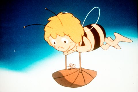 Biene Maja: fliegt
