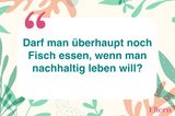 Jedenfalls nicht jeden Fisch. Die Begleitschäden moderner Fischerei sind enorm: Zerstörung der Meeresökosysteme, Beifang von Nichtzielarten wie Schildkröten, Delfinen, Haien und kleinen, nicht vermarktungsfähigen Fischen. Die Welternährungsorganisation schätzt, dass über 90 Prozent der Speisefischarten überfischt sind oder bis an ihre Grenzen genutzt werden. Nachhaltig ist aber zum Beispiel die Angelfischerei, bei der gezielt einzelne Fische gefangen werden, etwa Thunfische – ein entsprechender Hinweis findet sich auf den Dosen. Fehlt dieser, kann man davon ausgehen, dass viele andere Meerestiere mit gestorben sind. Besonders schädlich ist die Grundschleppnetzfischerei – sie zerstört den Meeresboden. No-gos sind Aal und Seezunge, da sie vorm Aussterben stehen. Guten Gewissens kann man bei Forelle, Lachs und Karpfen aus biozertifizierter Aquakultur zugreifen. Wir sollten Fisch wieder mehr als Delikatesse betrachten, die man nur zu besonderen Gelegenheiten isst, maximal ein- bis zweimal pro Monat.  Thilo Maack, Meeresbiologe bei Greenpeace