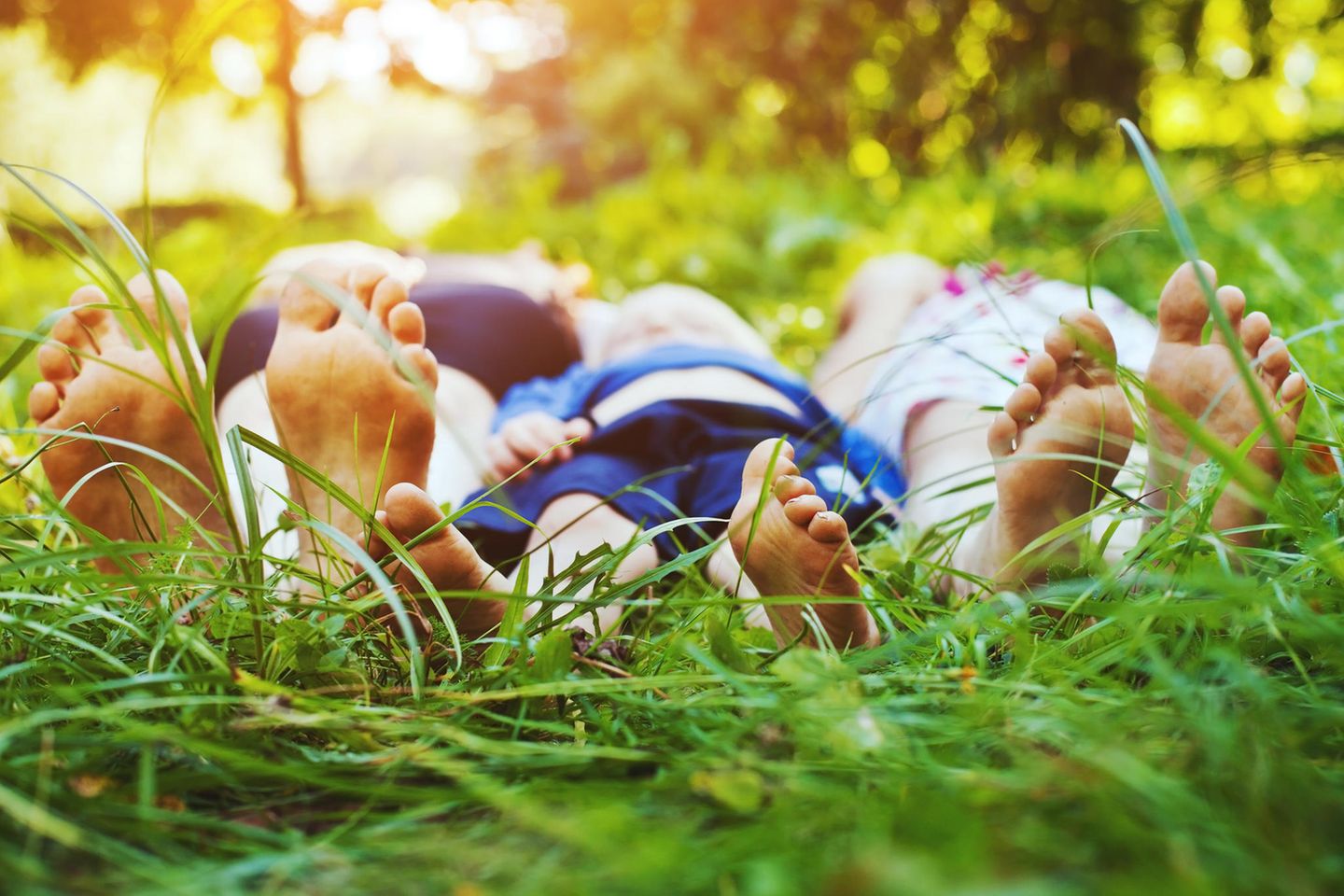 Familie liegt barfuß im Gras