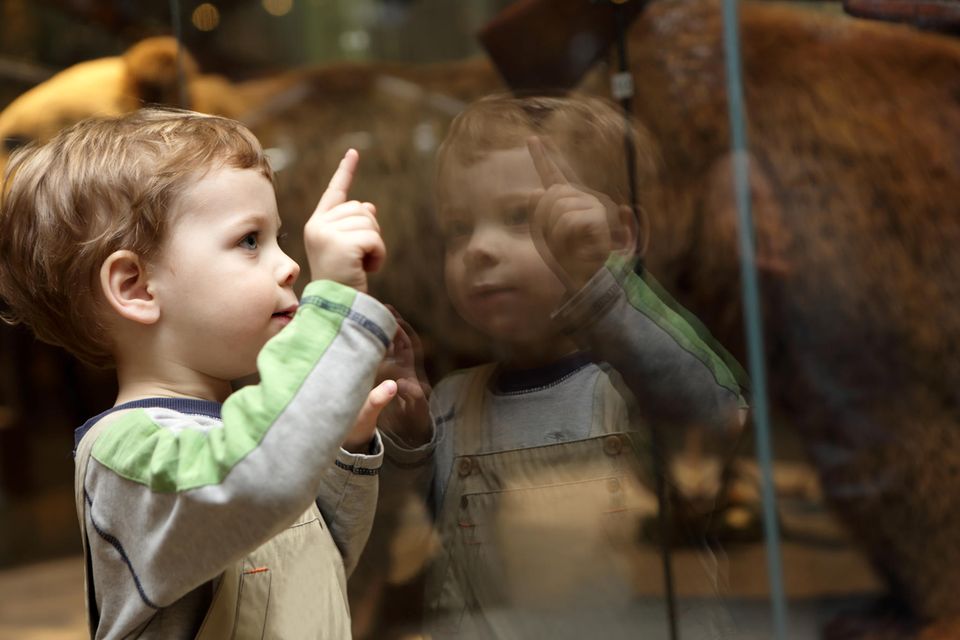Kinderfreizeitbonus: Kind im Museum