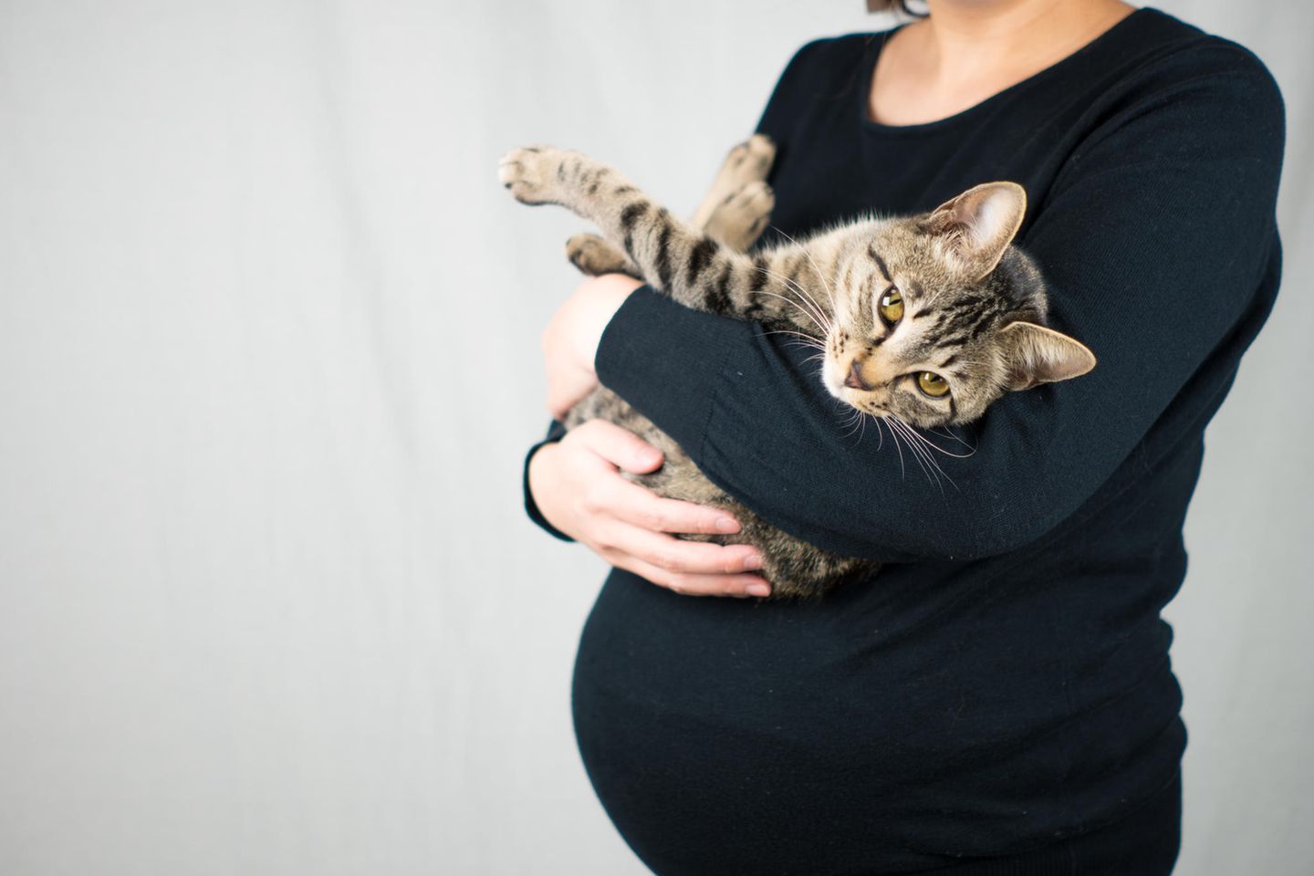 Schwangere Frau hält Katze