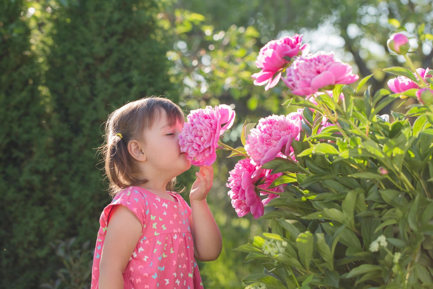 Mädchen schnuppert an Blume