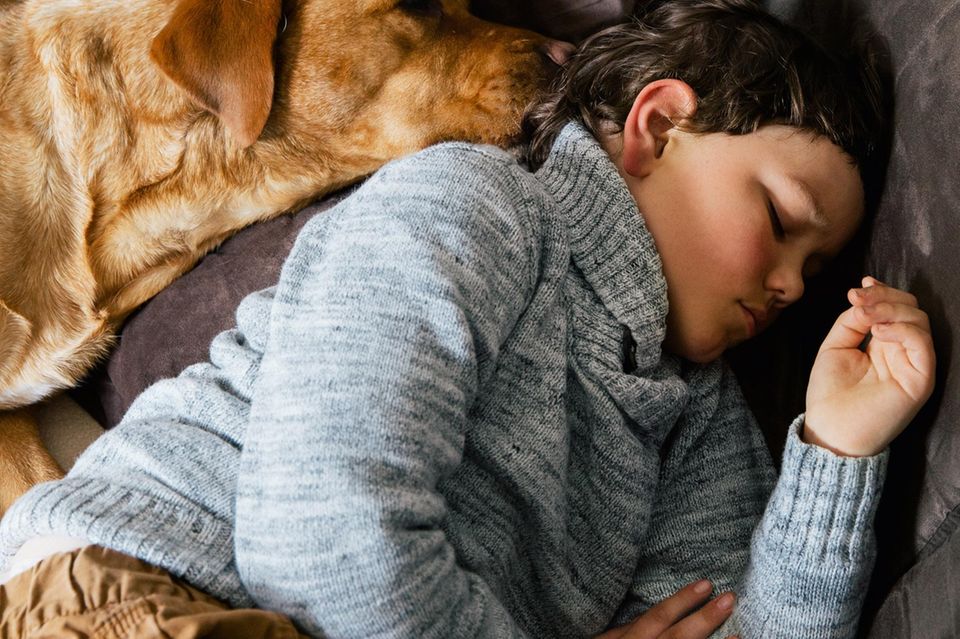 Frühkindlicher Autismus: Leon schläft mit seinem Hund auf dem Sofa