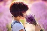 Mädchen mit kurzen glänzenden Haare riecht an einem Lavendelstrauß und steht in einem Lavendelfeld