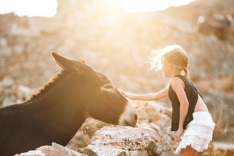 Ein Mädchen streichelt einen Esel in Griechenland