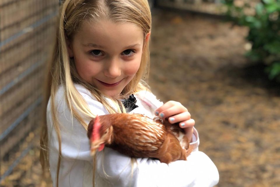 Lara Koerfer: ein Mädchen mit langen blonden Haaren hällt ein braunes Huhn auf dem Arm