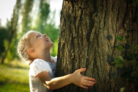 Nachhaltige Erziehung: ein kleines blondes Mädchen umarmt einen Baum