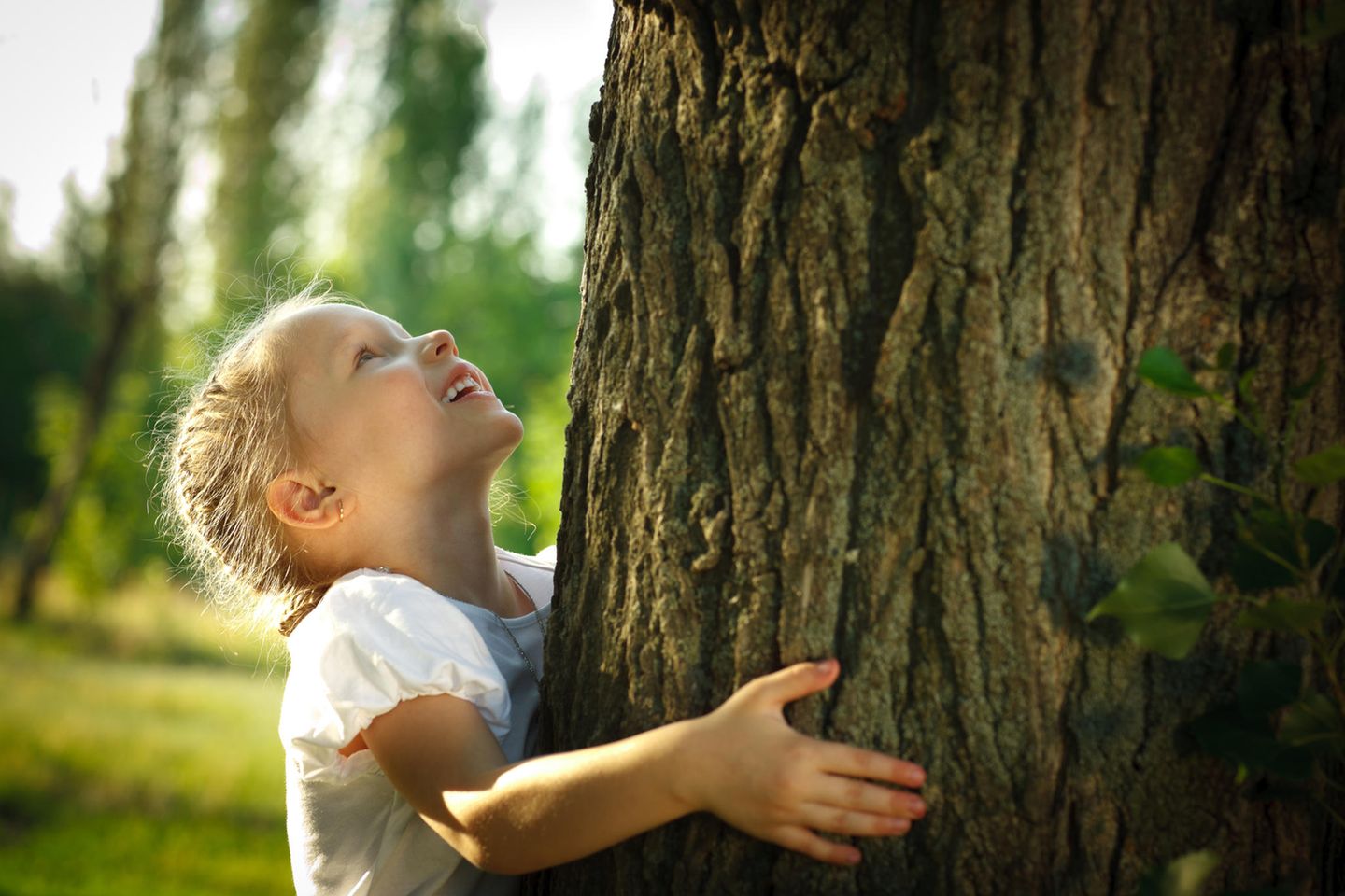 Nachhaltige Erziehung: ein kleines blondes Mädchen umarmt einen Baum