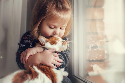 Tierhaarallergie: ein kleines blondes Mädchen kuschelt mit einer weiß roten Katze