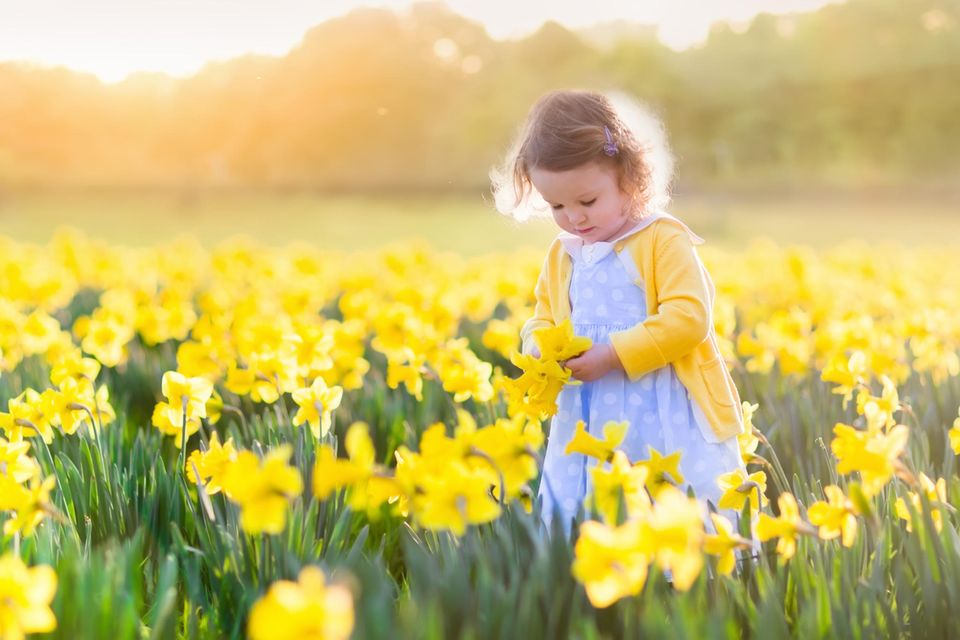 Ein Mädchen steht in einem Blumenfeld