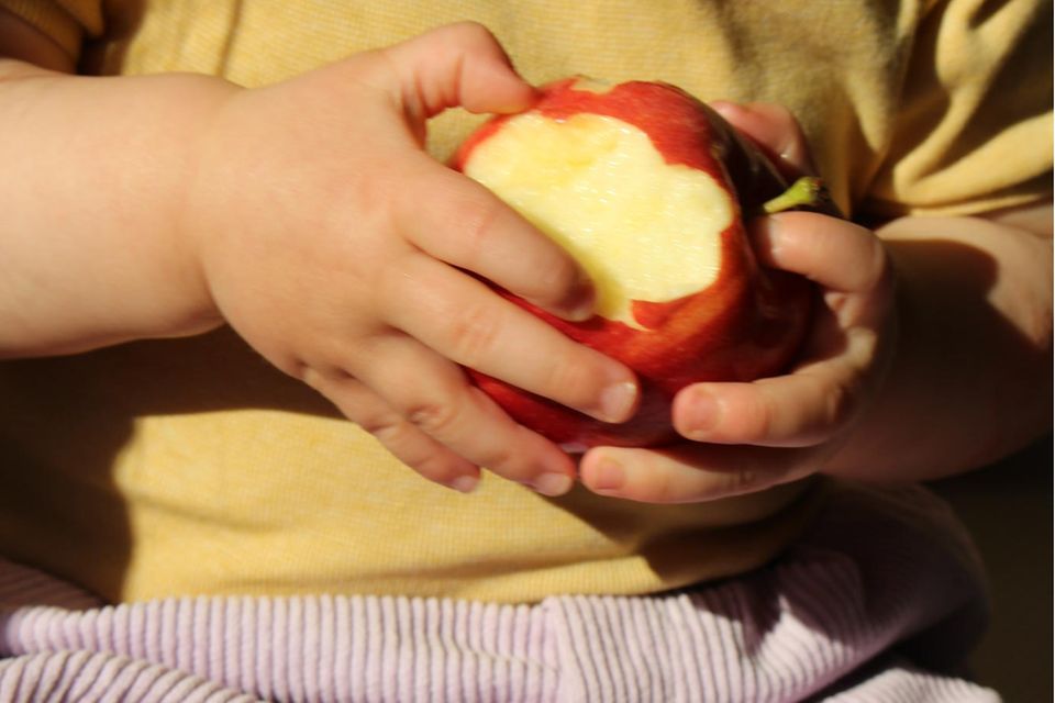 Oneegtwokids, Beißen