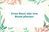 8-rituale-fehlgeburt-sternenkind-baum-blume