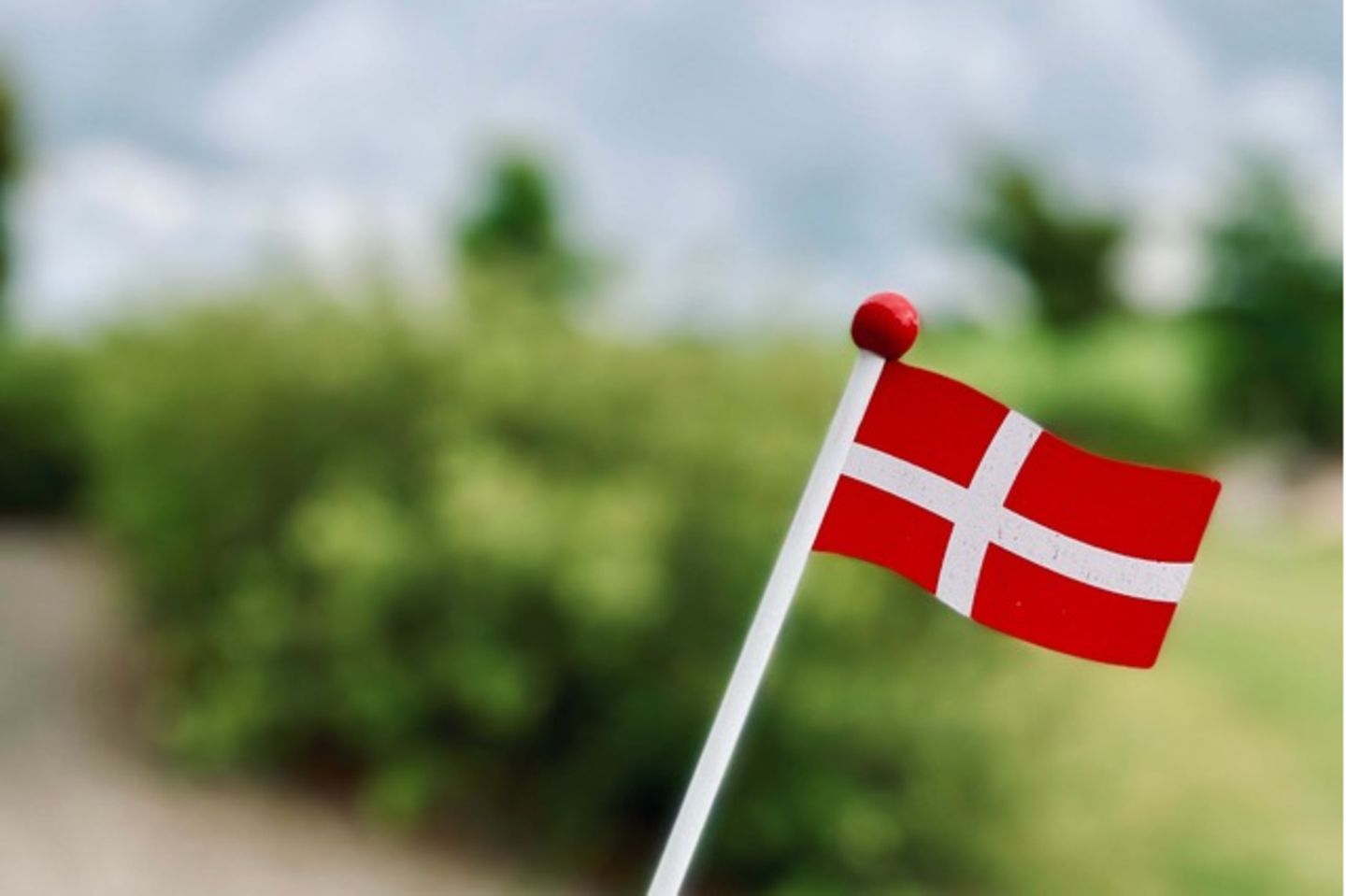 Flagge Dänemark