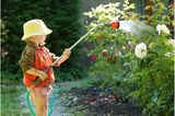10 Haushaltsaufgaben für Kinder: Sonnenblume mit Gießkanne
