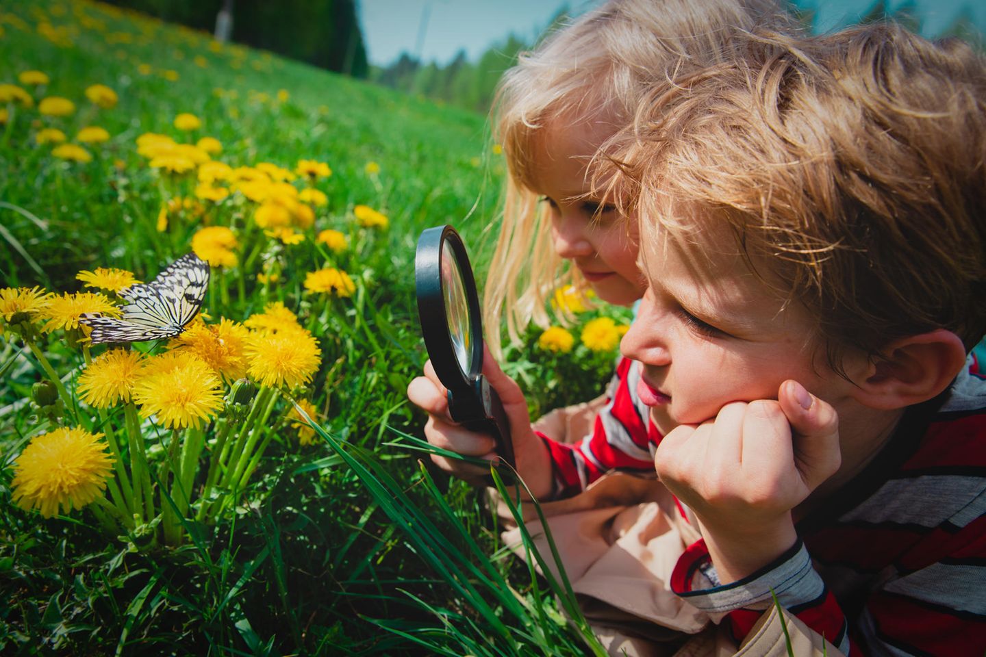 Abenteuer und Gutes tun mit Kindern: Kinder beobachten Schmetterling