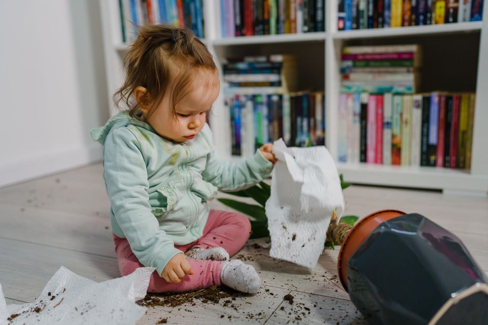 Zerstörungswut: Kleinkind spielt mit umgestoßener Zimmerpflanze und Papier