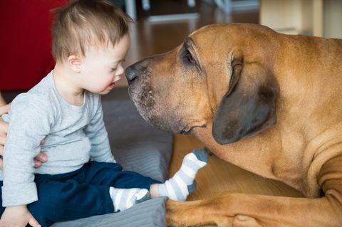 Tiertherapie: Ein kleiner Junge mit Down Syndrom und ein großer Hund