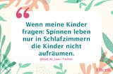 Witziger Tweet von @Dad_At_Law zum Thema Spinnen