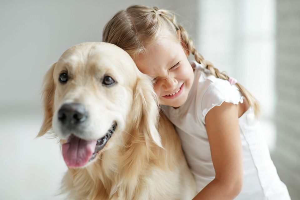 Junges Mädchen umarmt einen Labrador
