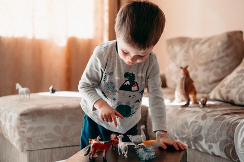 Spielzeug ab 4 Jahren: Kleiner Junge spielt konzentriert mit Tierfiguren.