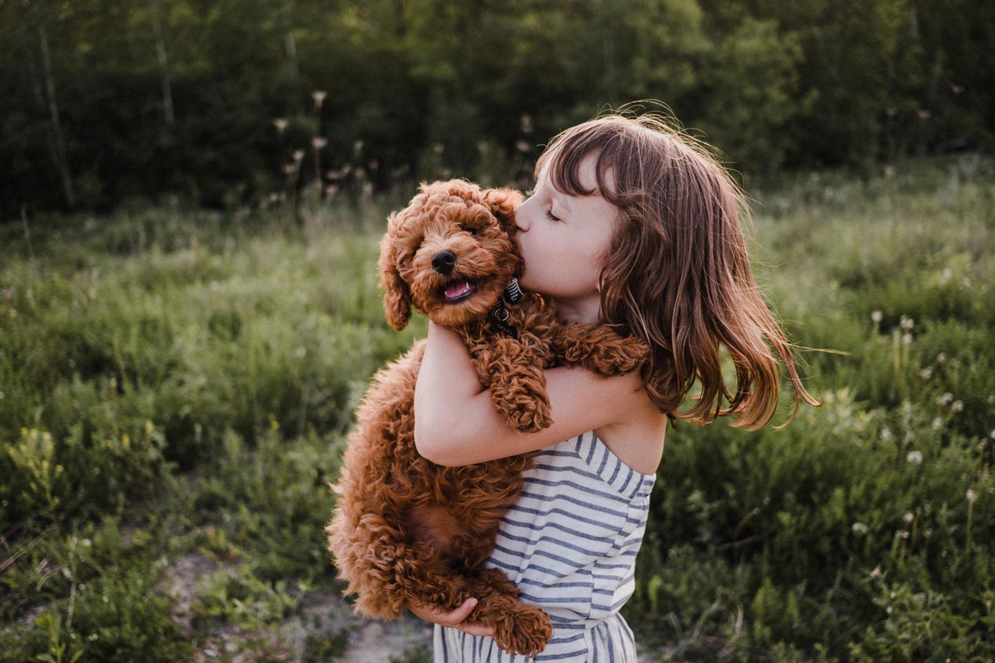 Hunde für Allergiker: Eine Frau hält einen Hund