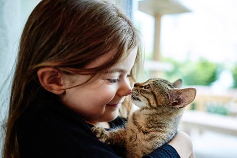 Katzen für Allergiker: Ein Mädchen kuschelt mit einer Katze.