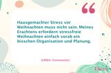 Weihnachtsputz ohne Stress!
