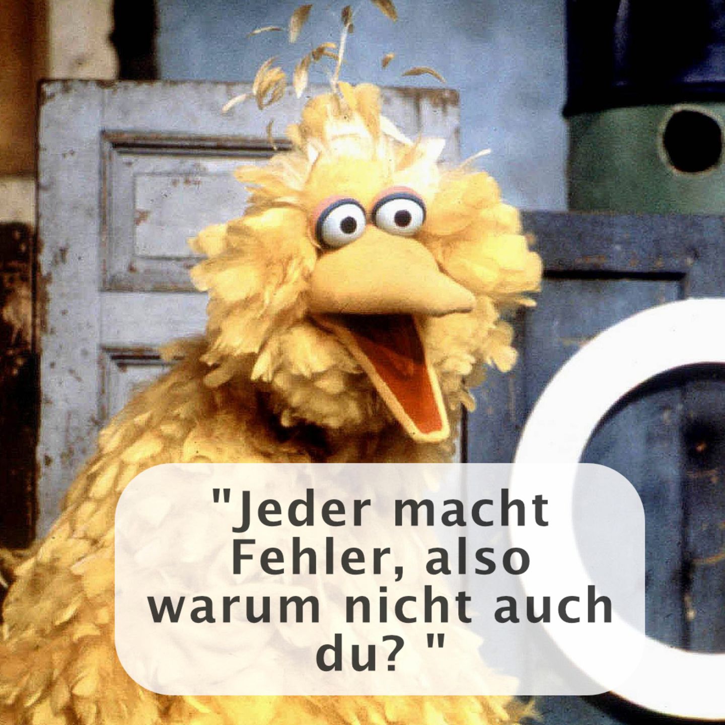Bibo Eltern.de