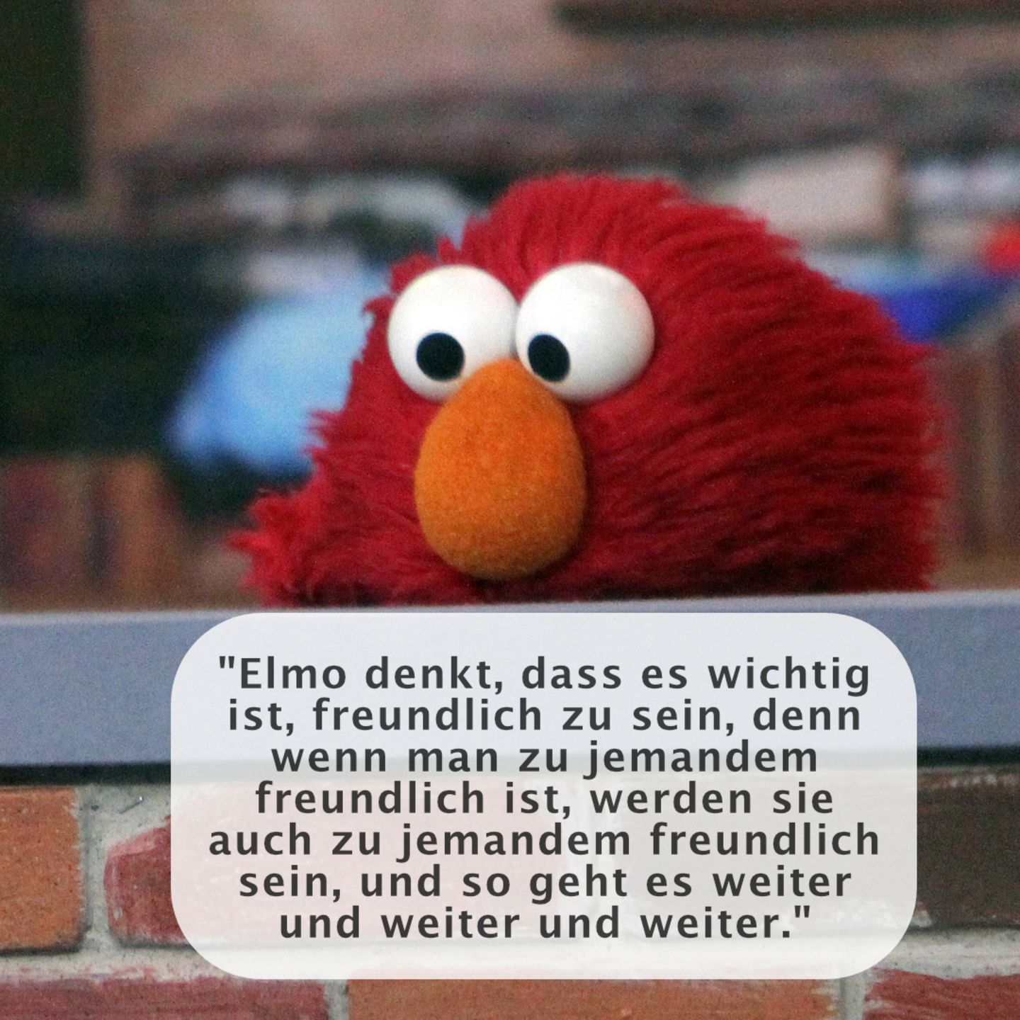 Elmo Eltern.de